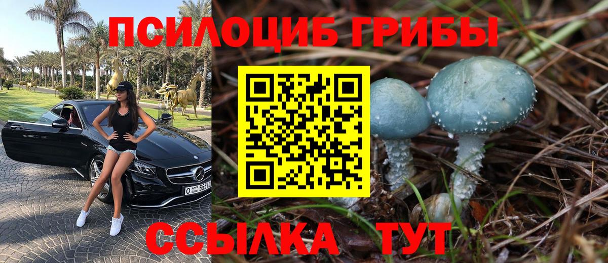 Белорецк  Галлюциногенные грибы GOLDEN TEACHER  Галлюциногенные грибы MAGIC MUSHROOMS  Вход с VPN 